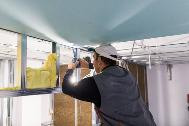 Best Home Insulation Services  in Orangetree, FL