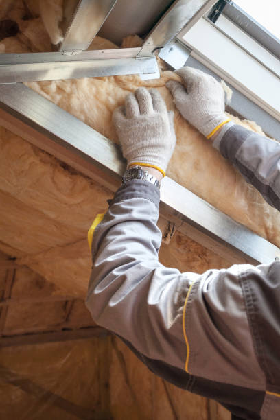 Best Insulation Contractor Near Me  in Orangetree, FL