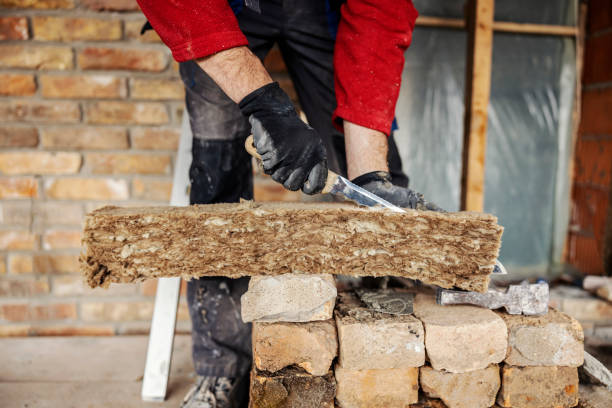 Best Insulation Replacement Services  in Orangetree, FL