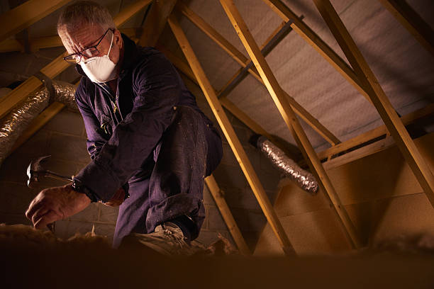 Reliable Orangetree, FL Insulation Contractor Solutions